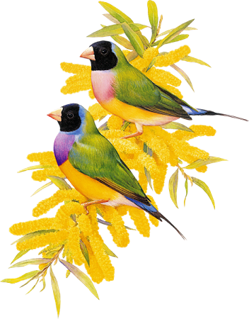 őszi állatok_46.png